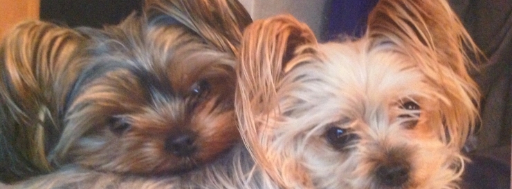 Stimmungsbild-Marc Andre-Bäcker-1